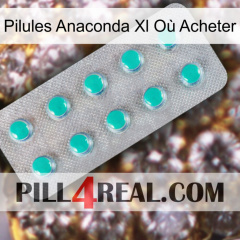 Pilules Anaconda Xl Où Acheter 28